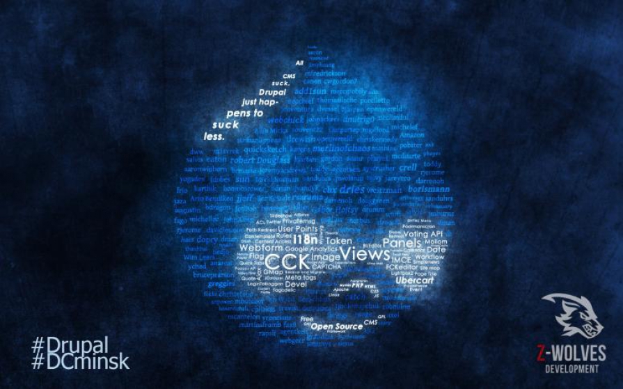 THE CONFERENCE DRUPAL CAMP MINSK 2014. RESULT.